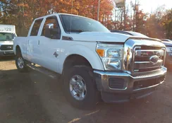 1FT7W2BT5CEA12460: 43509818