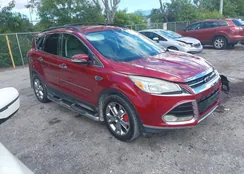 1FMCU0HX7DUA33056: 43510538