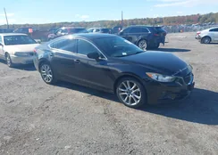 JM1GJ1V51F1187810: 43510821