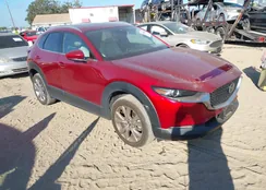 3MVDMBDLXMM246559: 43511129