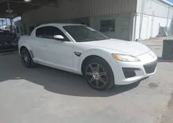 JM1FE17P190401896: 43514020