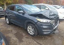 KM8J23A4XMU301953: 43514209