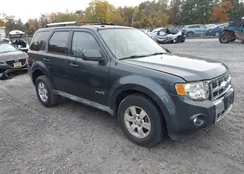 1FMCU49349KB93739: 43514245