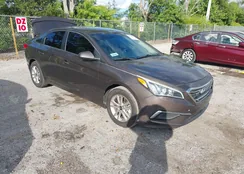 5NPE24AF3FH192598: 43515470