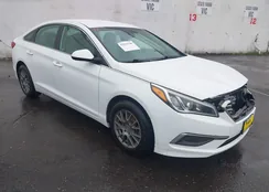 5NPE24AF2GH343707: 43515549