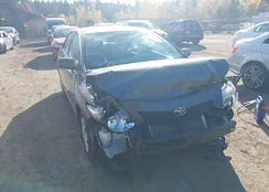 2T1BU4EEXAC506290: 43516541