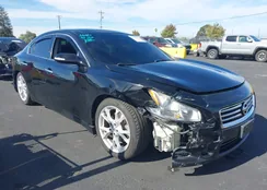 1N4AA5APXDC807145: 43516041