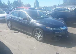 19UUB1F32FA012724: 43517518