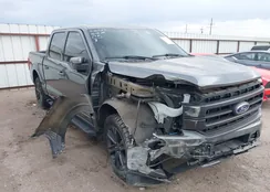 1FTFW1ED8PFB63237: 43517668