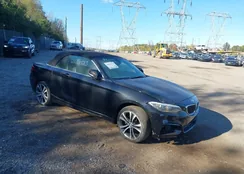 WBA1K9C52GV710845: 43517170