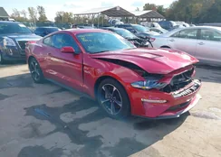 1FA6P8CF5L5190332: 43517250