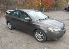 KNAFU4A28B5391908: 43517356