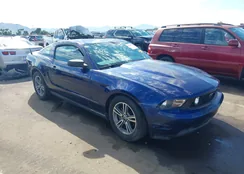 1ZVBP8AN0A5162435: 43518720