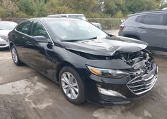 1G1ZD5ST8SF115941: 43519473