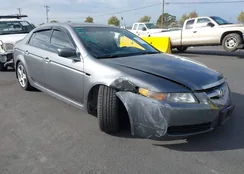 19UUA66256A058023: 43519604