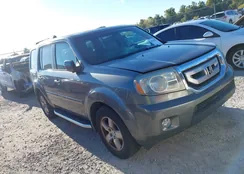 5FNYF48519B001004: 43519827