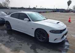 2C3CDXGJ4KH696633: 43520442