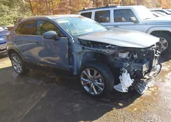 3MVDMBDL3MM252803: 43520132