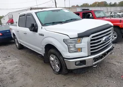 1FTEW1EFXGFB91442: 43521849