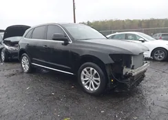 WA1CFAFPXDA093674: 43521887