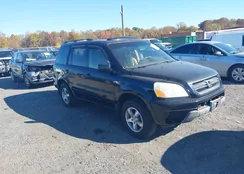 5FNYF186X5B003755: 43521328