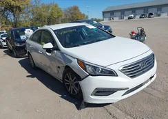 5NPE24AFXFH201457: 43522674