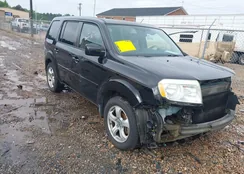 5FNYF3H46DB028922: 43522149