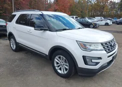 1FM5K7DH4GGD22937: 43522310