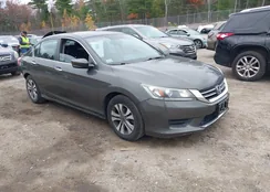 1HGCR2F38DA233836: 43524945