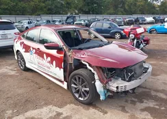 19XFC2F67LE022047: 43524117