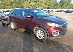 5XYPG4A36GG140438: 43525099