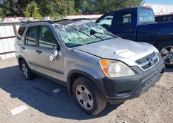 SHSRD78873U137577: 43527889