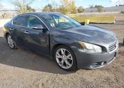 1N4AA5AP6CC833515: 43527151