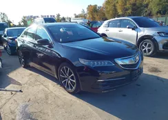 19UUB3F5XFA010104: 43528714