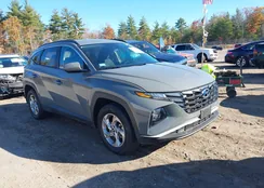 5NMJBCDE2RH295640: 43529086