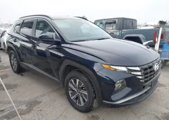 KM8JBCD19RU202646: 43530595