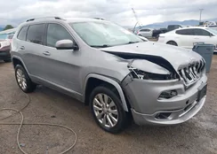 1C4PJMJS1HD218293: 43535738