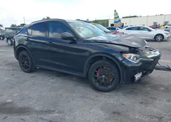 ZASPAJAN8K7C63768: 43536605