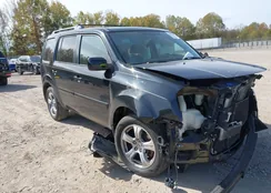 5FNYF4H46FB062402: 43539426