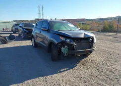 KNDPBCA24C7291690: 43538990