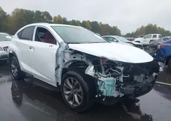 JTJSARBZ3M2201873: 43539281