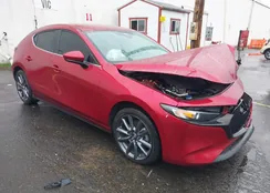 JM1BPALM1L1159780: 43540699