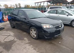 1G1ZT58N77F194988: 43542633