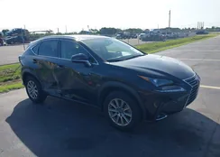 JTJDARBZ5M2200667: 43543932