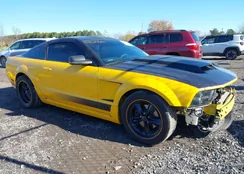 1ZVFT82H065213851: 43545902