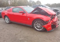 1ZVBP8AM4C5235476: 43547051