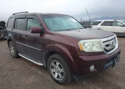 5FNYF4H81AB008811: 43548405