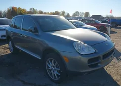 WP1AB29P54LA73295: 43550291