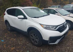 2HKRW2H51LH652621: 43551220