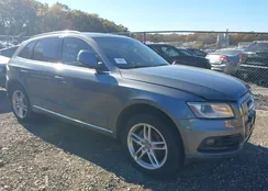 WA1LFAFP7DA011061: 43552459